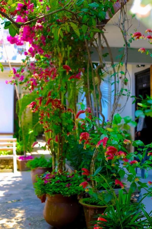 Garden Lodge Zanzibar Exteriér fotografie