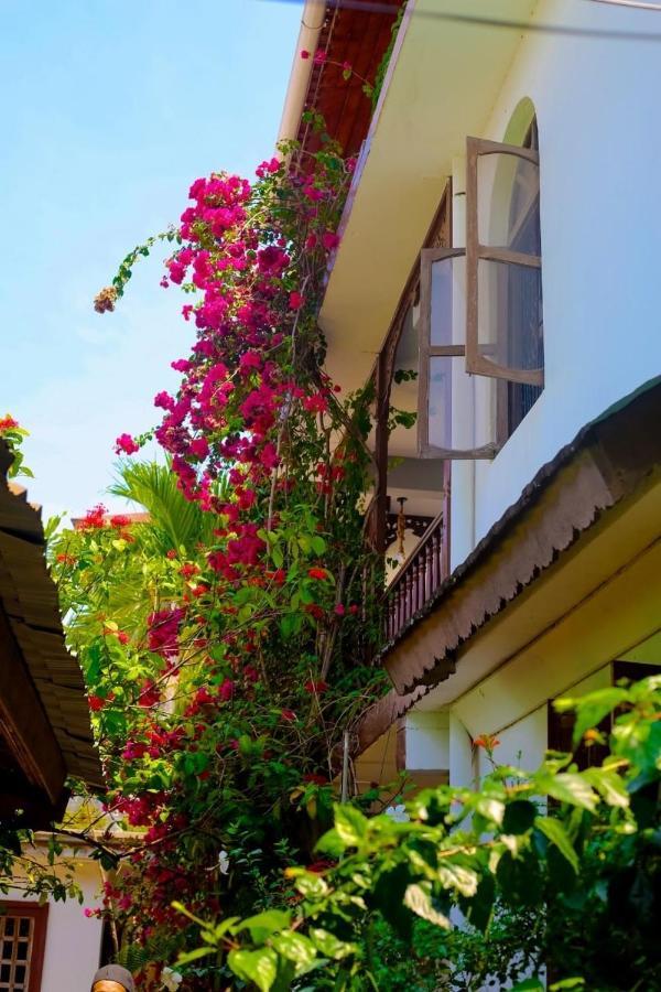 Garden Lodge Zanzibar Exteriér fotografie